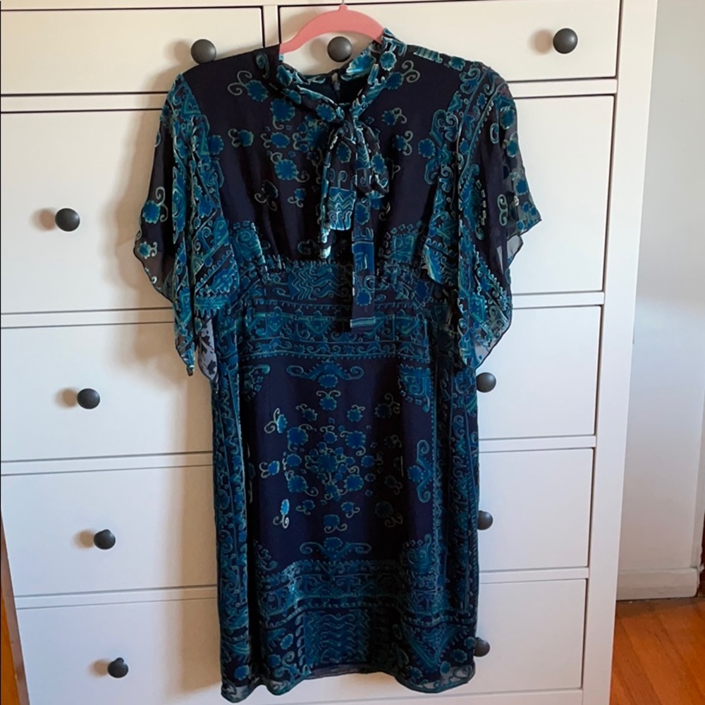 Burnout Velvet Anna Sui Dress